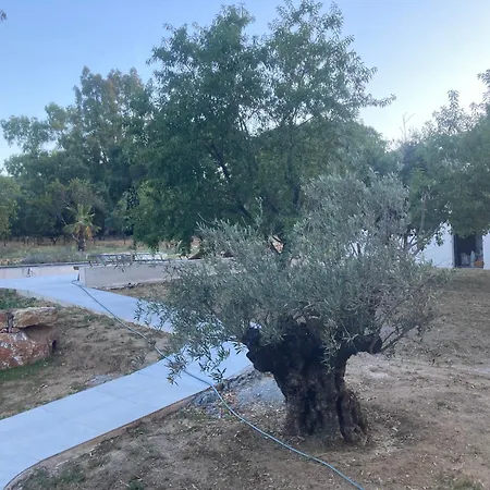 Bed and breakfast Loumar Saint-Tropez