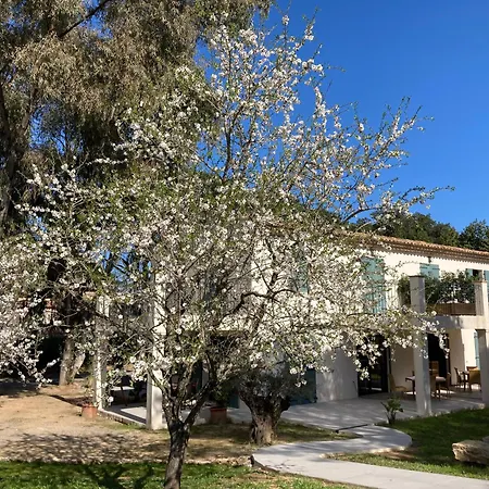 Loumar Bed & Breakfast