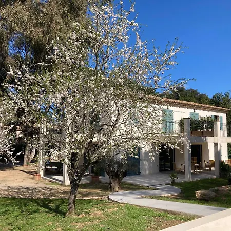 Bed & Breakfast Loumar Saint-Tropez